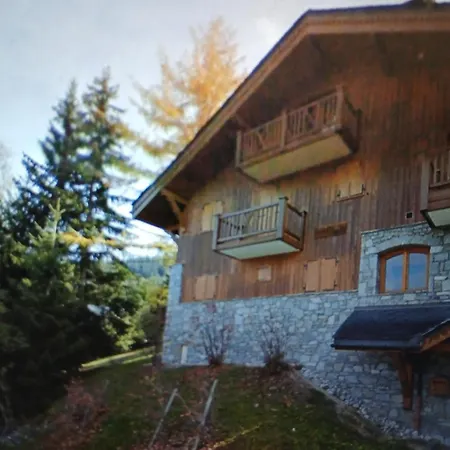 Apartment Ski Chalet Les Allues